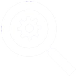 Recall Inspection